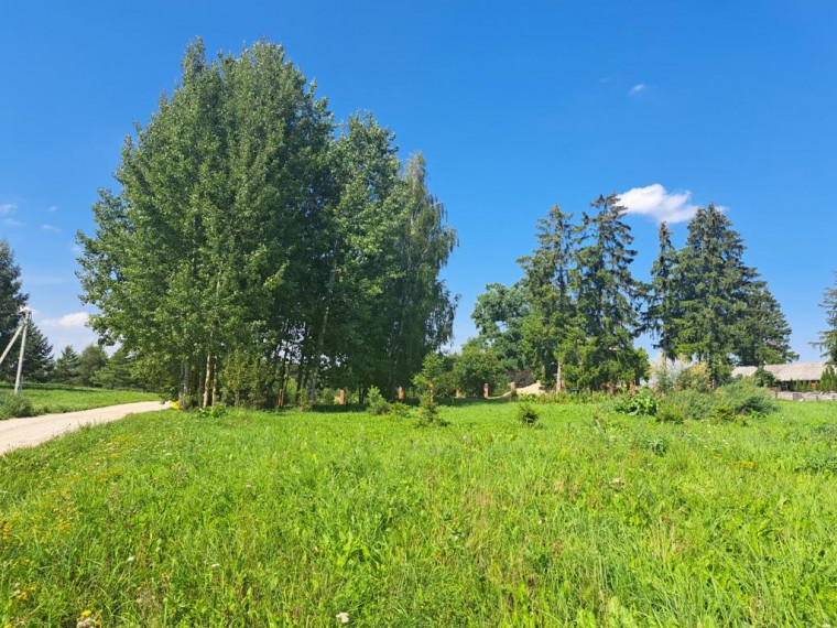Parduodamas sklypas Garnelių k., Utenos r. sav., 12 a ploto 1