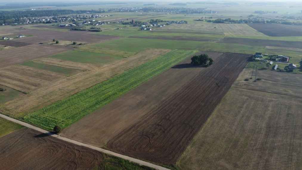 Parduodamas  sklypas Ražių k., Kauno r. sav., 250 a ploto 3