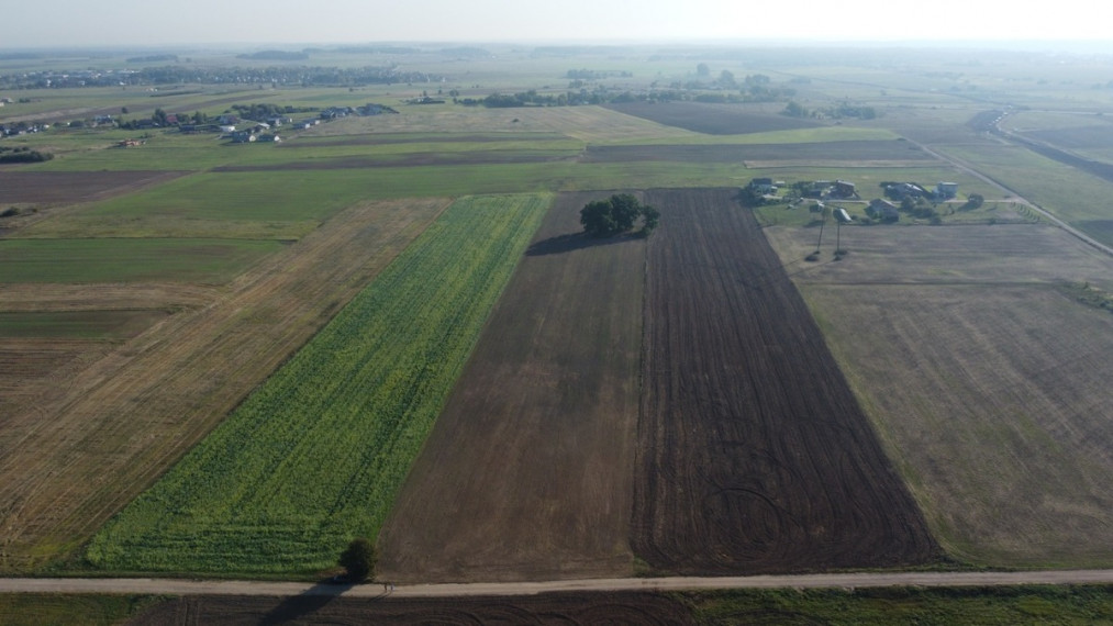 Parduodamas  sklypas Ražių k., Kauno r. sav., 250 a ploto 4