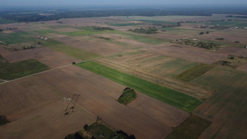 Parduodamas  sklypas Ražių k., Kauno r. sav., 250 a ploto 5