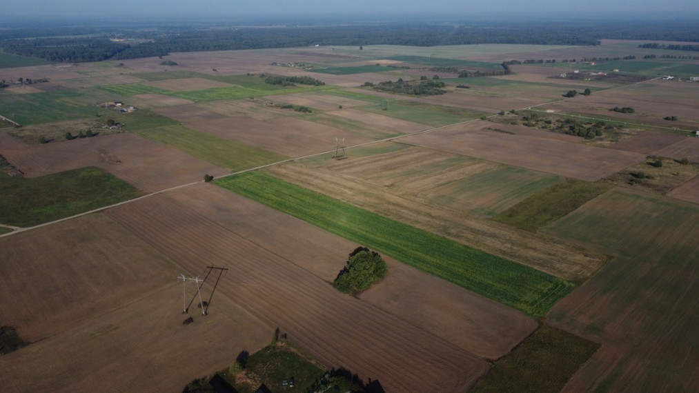 Parduodamas sklypas Ražių k., Kauno r. sav., 250 a ploto 5