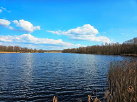 Parduodamas sklypas Milašaičio k., Ignalinos r. sav., 440.00 a ploto 1
