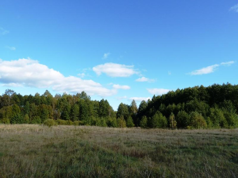 Parduodamas sklypas Milašaičio k., Ignalinos r. sav., 440.00 a ploto 4