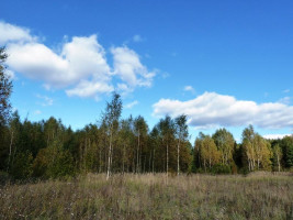 Parduodamas sklypas Milašaičio k., Ignalinos r. sav., 440.00 a ploto 6
