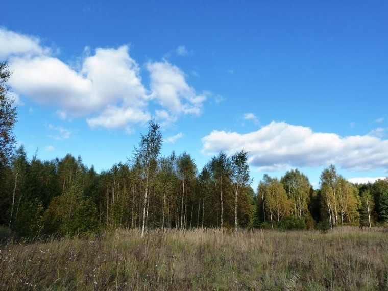 Parduodamas sklypas Milašaičio k., Ignalinos r. sav., 440.00 a ploto 6