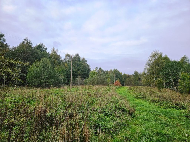 Parduodamas sklypas Tauragnų k., Utenos r. sav., 1030 a ploto 2