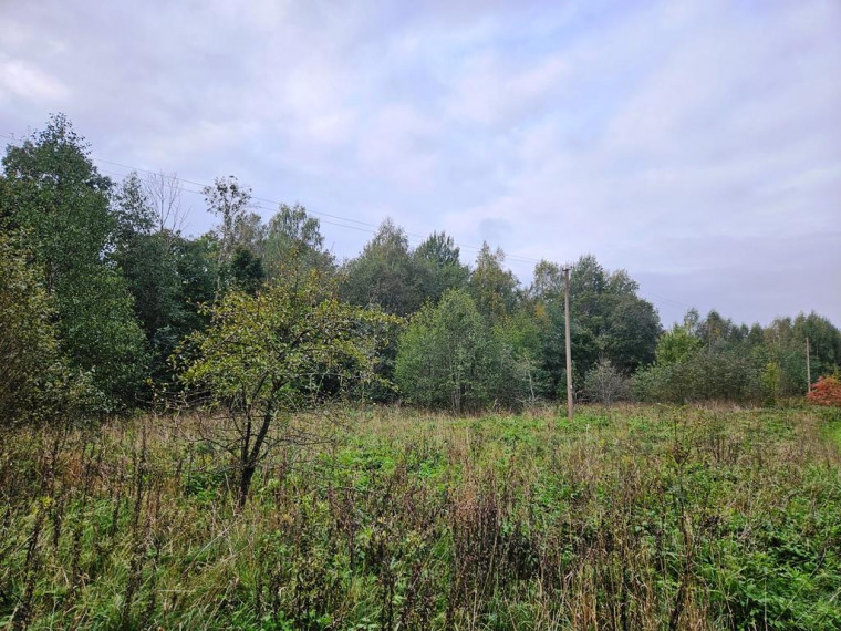Parduodamas sklypas Tauragnų k., Utenos r. sav., 1030 a ploto 3