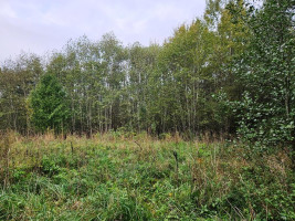 Parduodamas sklypas Tauragnų k., Utenos r. sav., 1030 a ploto 4