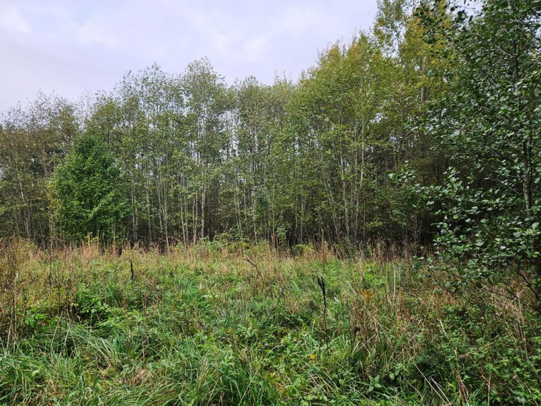 Parduodamas sklypas Tauragnų k., Utenos r. sav., 1030 a ploto 4