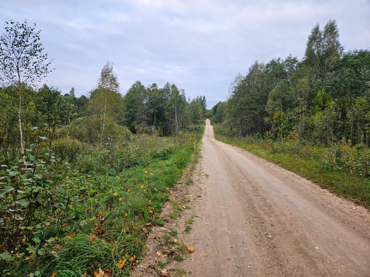 Parduodamas sklypas Tauragnų k., Utenos r. sav., 1030 a ploto 6