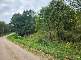Parduodamas sklypas Tauragnų k., Utenos r. sav., 1030 a ploto 7
