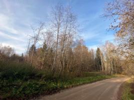 Parduodamas  sklypas Eitulionių k., Elektrėnų sav., 171 a ploto 2