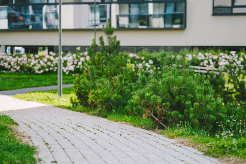 Parduodamas butas Lietaus g., Lazdynėliai, Vilniaus m., Vilniaus m. sav., 25.45 m² ploto 1 kambarys 5