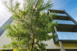 Parduodamas butas Lietaus g., Lazdynėliai, Vilniaus m., Vilniaus m. sav., 27.56 m² ploto 1 kambarys 4