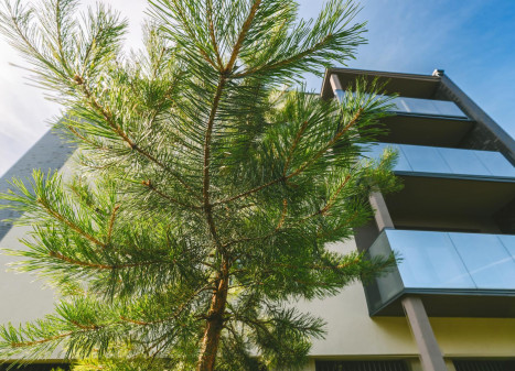 Parduodamas butas Lietaus g., Lazdynėliai, Vilniaus m., Vilniaus m. sav., 76.64 m² ploto 4 kambariai