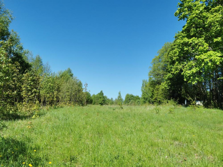 Parduodamas sklypas Karčiškių k., Utenos r. sav., 255 a ploto 1