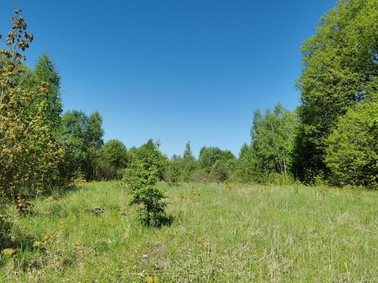 Parduodamas sklypas Karčiškių k., Utenos r. sav., 255 a ploto 2