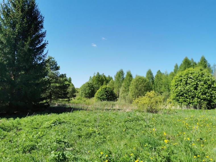 Parduodamas sklypas Karčiškių k., Utenos r. sav., 255 a ploto 3