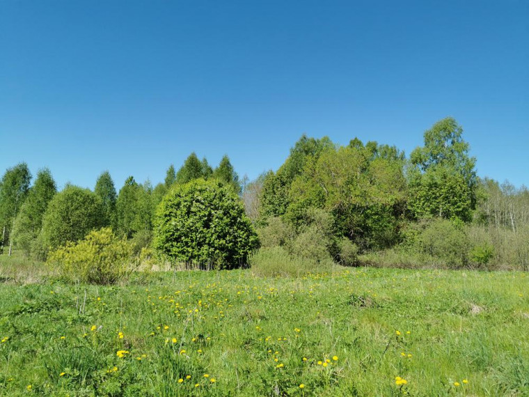 Parduodamas sklypas Karčiškių k., Utenos r. sav., 255 a ploto 4