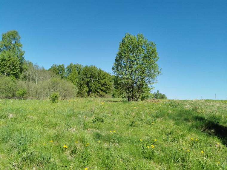 Parduodamas sklypas Karčiškių k., Utenos r. sav., 255 a ploto 5