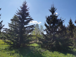 Parduodamas sklypas Karčiškių k., Utenos r. sav., 255 a ploto 6
