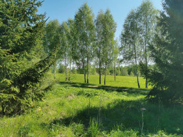 Parduodamas sklypas Karčiškių k., Utenos r. sav., 255 a ploto 7