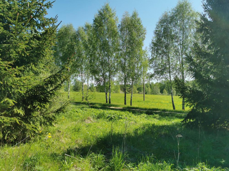 Parduodamas sklypas Karčiškių k., Utenos r. sav., 255 a ploto 7