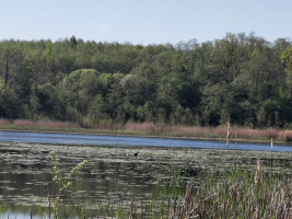 Parduodamas sklypas Karčiškių k., Utenos r. sav., 255 a ploto 9
