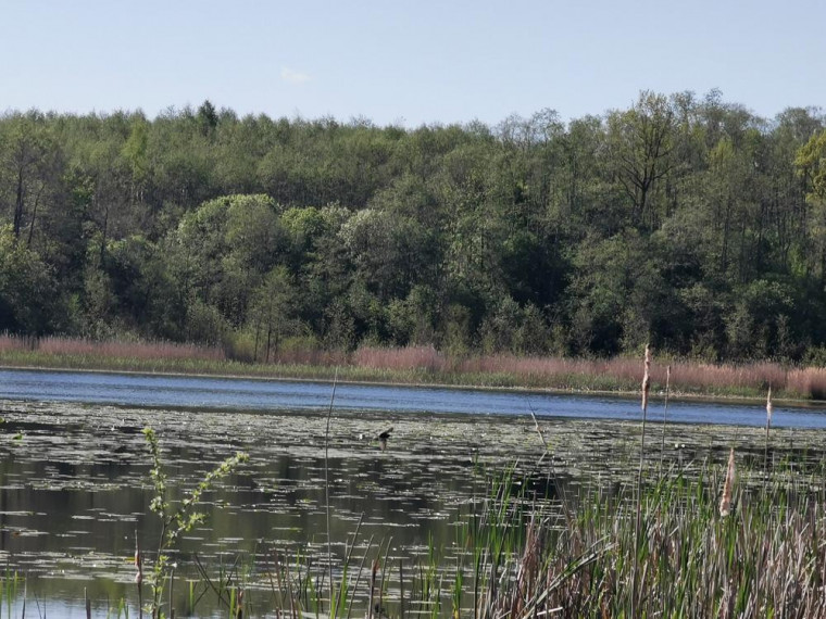Parduodamas sklypas Karčiškių k., Utenos r. sav., 255 a ploto 9