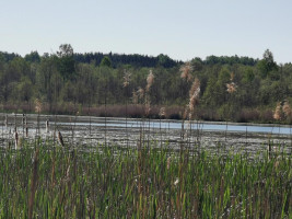 Parduodamas sklypas Karčiškių k., Utenos r. sav., 255 a ploto 10