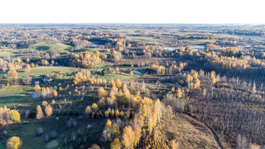 Parduodamas sklypas Varlynės k., Molėtų r. sav., 850 a ploto 3