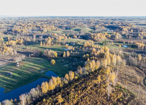 Parduodamas  sklypas Varlynės k., Molėtų r. sav., 850 a ploto