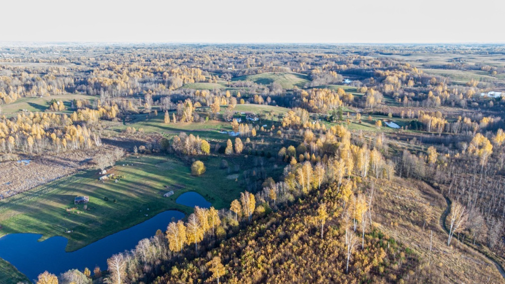 Parduodamas sklypas Varlynės k., Molėtų r. sav., 850 a ploto 1