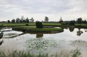 Parduodamos kitos paskirties, maitinimo patalpos Pateklos g., Pateklėnų k., Telšių r. sav., 430.67 m2 ploto 26