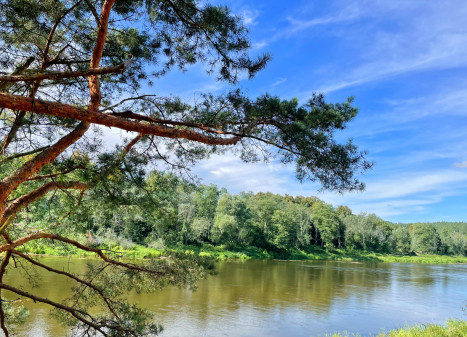 Parduodamas  sklypas Tuščiaulių k., Vilniaus r. sav., 570 a ploto