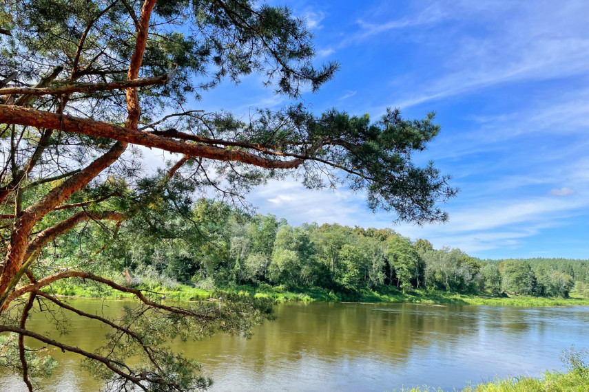 Parduodamas sklypas Tuščiaulių k., Vilniaus r. sav., 570 a ploto 1