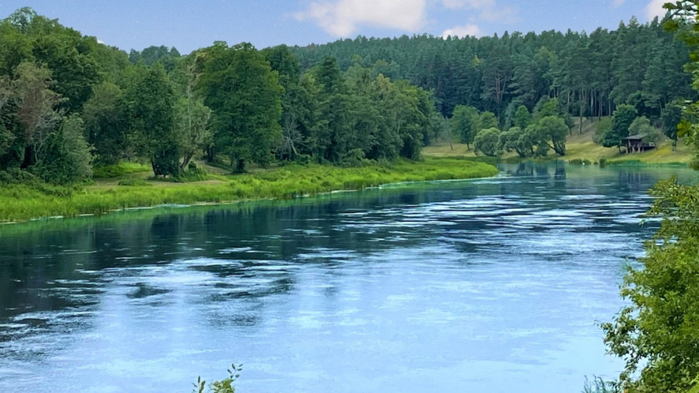 Parduodamas  sklypas Tuščiaulių k., Vilniaus r. sav., 570 a ploto 2