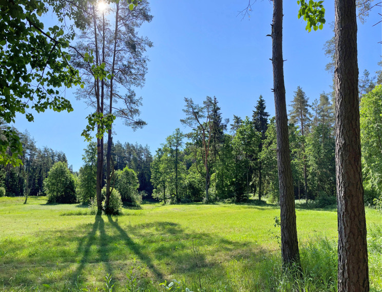 Parduodamas  sklypas Tuščiaulių k., Vilniaus r. sav., 570 a ploto 3