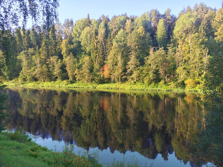 Parduodamas  sklypas Tuščiaulių k., Vilniaus r. sav., 570 a ploto 4