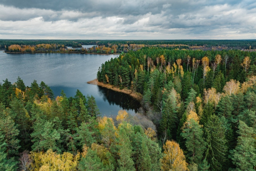 Parduodamas sklypas Peršokšnos g., Prūdiškės k., Švenčionių r. sav., 2024.22 a ploto 6