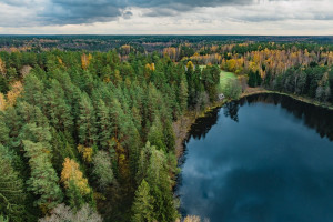 Parduodamas  sklypas Peršokšnos g., Prūdiškės k., Švenčionių r. sav., 2024.22 a ploto 7