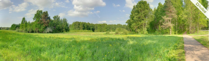 Parduodamas  sklypas Miško g., Radviliškio m., Radviliškio r. sav., 136 a ploto 7