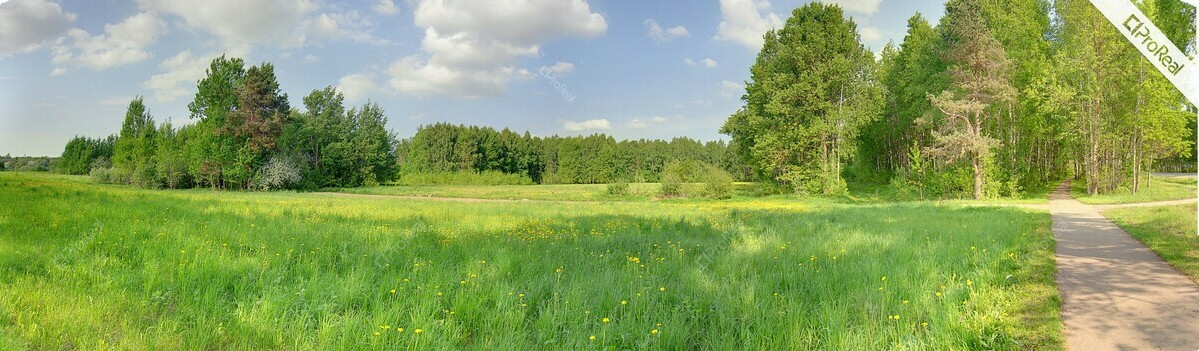 Parduodamas  sklypas Miško g., Radviliškio m., Radviliškio r. sav., 136 a ploto 7
