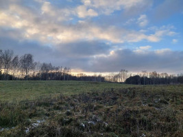 Parduodamas namas Pašilės vs., Zarasų r. sav., 73 m² ploto 2 kambariai 18