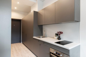 Nuomojamas butas Smolensko g., Naujamiestis, Vilniaus m., Vilniaus m. sav., 22.00 m² ploto 1 kambarys 5