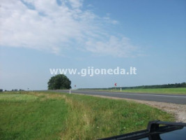 Parduodamas žemės ūkio paskirties sklypas Kalotės k. dal., Klaipėdos r. sav., 6500 a ploto 2