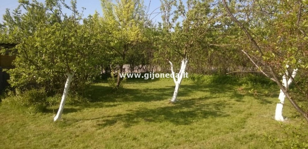 Parduodamas sodų paskirties sklypas Derceklių k., Klaipėdos r. sav., 6 a ploto 2