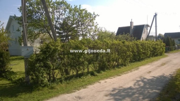 Parduodamas sodų paskirties sklypas Derceklių k., Klaipėdos r. sav., 6 a ploto 4