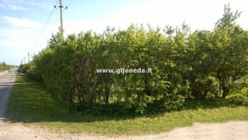 Parduodamas sodų paskirties sklypas Derceklių k., Klaipėdos r. sav., 6 a ploto 5