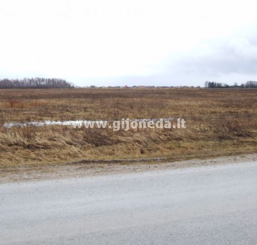 Parduodamas komercinės paskirties sklypas Trušelių k., Klaipėdos r. sav., 500 a ploto 4